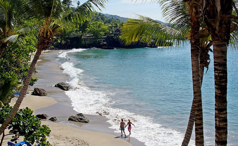 Samaná: Donde las Montañas se Encuentran con el Mar