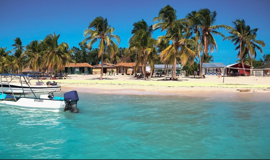 10 Razones por las que Isla Saona Debería Estar en tu Lista de Deseos