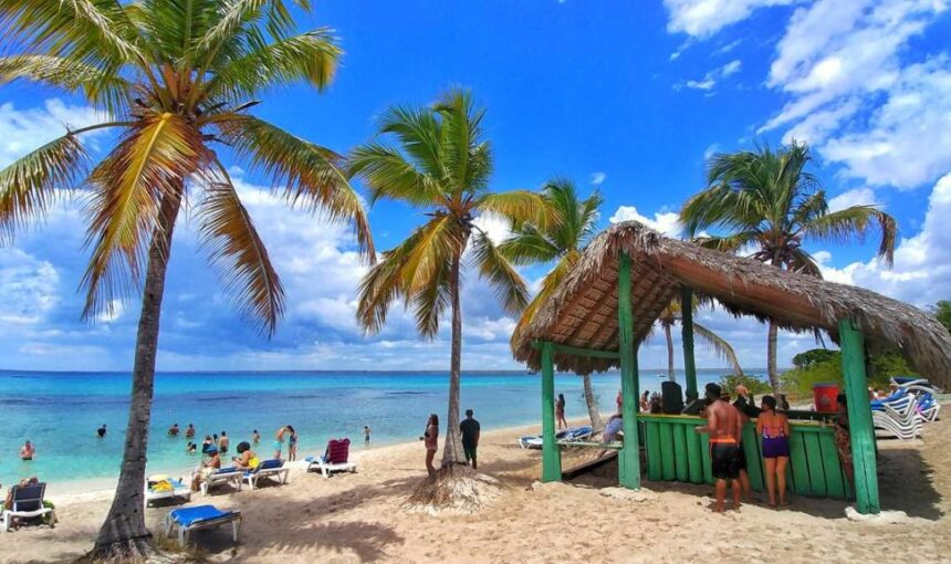 Guía Completa para Visitar Isla Catalina: Desde sus Playas hasta sus Corales